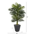thumbnail image 2 of Nearly Natural 62" Golden Cane Artificial Palm Tree in Slate Planter, 2 of 5