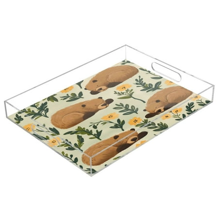 

Acrylic Tray 15.7*11.8*1.9 Inch Transparent Tray Food Tray Tea Cup Tray Serving Trays Cosmetics Storage Kitchen Table Bathroom Sundry Storage Sleeping Bear