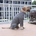 thumbnail image 5 of Kit de recuperación posoperatoria para perros, bata quirúrgica antilamidos para mascotas para heridas abdominales, pijama de manga larga para cachorros para prevenir la caída del cabello (talla XS), 5 of 5