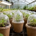 thumbnail image 7 of 20Pcs Biodegradable Seedling Pots with Humidity Domes, 8cm Nursery Germination Trays with Air Pruning Holes for Vegetable & Flower Seedlings, 7 of 7