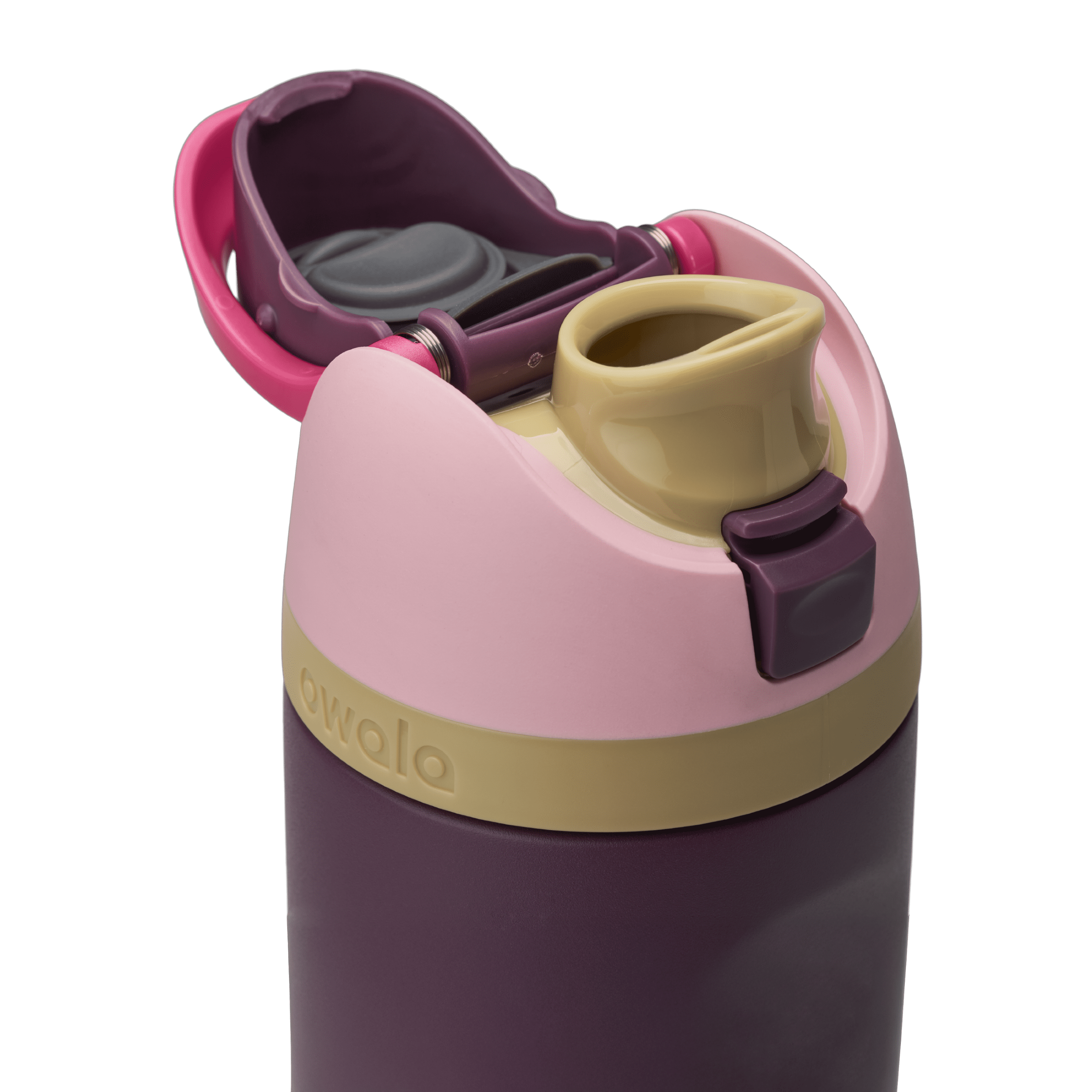Owala FreeSip Stainless Steel Water Bottle, 24oz, Wild Heart