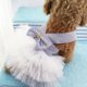 thumbnail image 4 of Vestido para perro mascota, vestido de princesa cachorro a rayas de moda, rayas verticales blancas M. Sailing Electrónica, 4 of 5