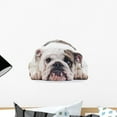 thumbnail image 1 of English Bulldog Dog Eye Wall Mural by Wallmonkeys Peel and Stick Graphic (18 in W x 12 in H) WM105746, 1 of 4