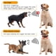thumbnail image 2 of Collar electrónico de ataque para adiestrador de perros, tapón de corteza/entrenador de perros con corona dorada impermeable recargable, 2 of 5
