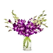 From You Flowers - Purple Dendrobium Orchids (Fresh Flowers) Birthday, Anniversary, Sympathy, All Occasion