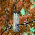 thumbnail image 3 of Bird Feeding Station, Panoramic Bird Feeder, Automatic Feeder Screw Top, Acrylic, 3 of 5