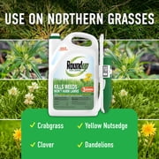 Roundup For Lawns₁ Ready-To-Use with Extend Wand, Tough Weed Killer for Use on Northern Grasses, 1 gal.