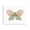 French Country Moth Floral Wings, variant on Stupell Industries Glam Botanical Pattern Butterfly Canvas Art, 20 x 16, by Victoria Barnes