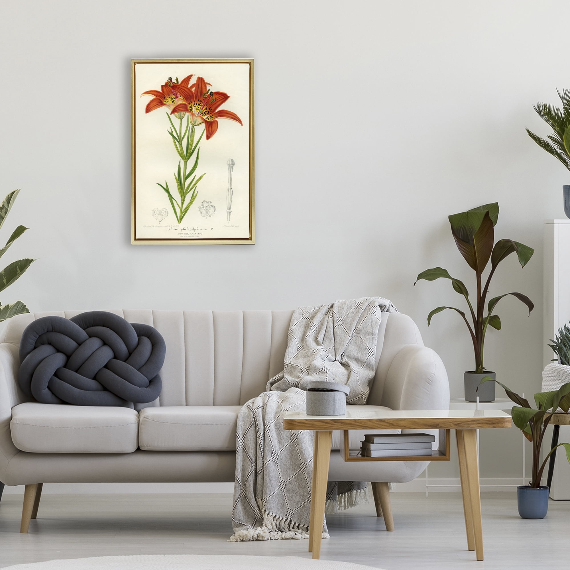Stupell Industries Western Red Lily Gold Framed Floater Canvas Wall Art, design by Print Collection