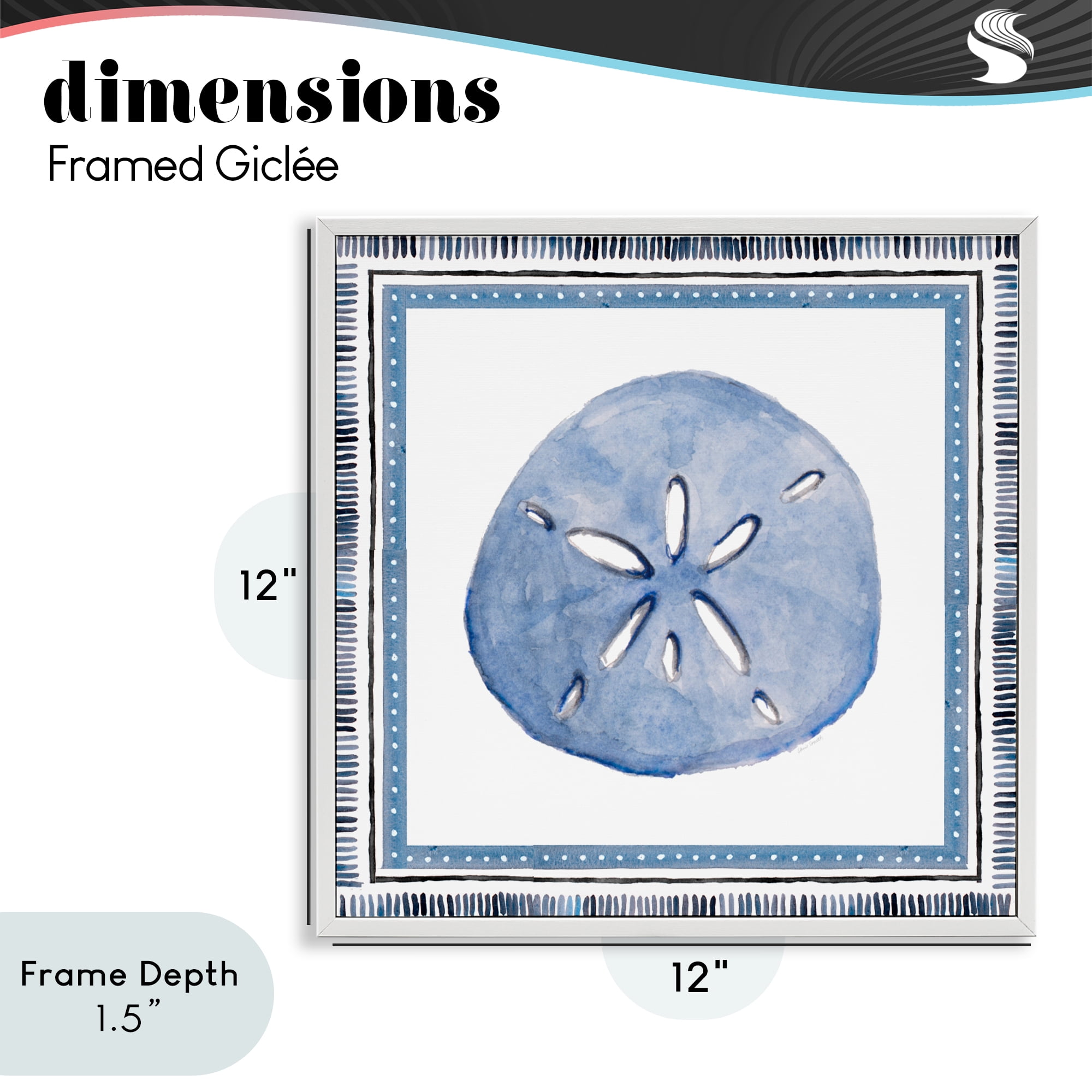 Stupell Industries Blue Bordered Sand Dollar White Framed Giclee Art, design by Lanie Loreth