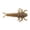 Smog, variant on Berkley Gulp! Alive!® Stonefly, 1.25 in, Creatures, Smog (1 Count)