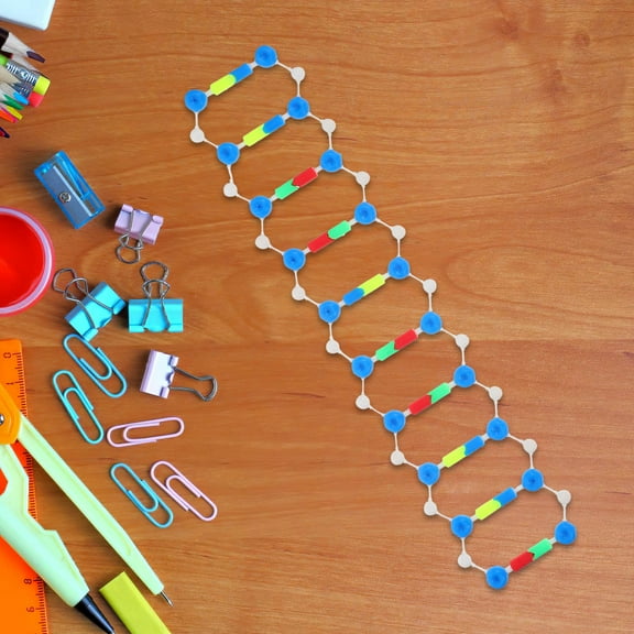 KONTONTY Double Helix Dna Model Genetics Teaching Tool For Biology And Science Education Molecular Structure For School And Laboratory