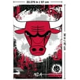 thumbnail image 2 of NBA Chicago Bulls - Logo maximaliste 23, 2 of 4