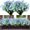 Blue, variant on Morttic 8 Bundles Artificial Daffodils Flowers Faux Plastic Lotus Shrubs UV Resistant No Fade Faux Greenery for Bridal Bouquet Home Garden Hanging Planter Porch Patio Office Wedding Decor (Purple)