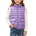 thumbnail image 2 of Spazoro Girls Lightweight Puffer Vest with Patch Pockets, Stand Collar Full Zip Solid Color Sleeveless Warm Quilted Outerwear Gilet Purple Size 5-6, 2 of 9