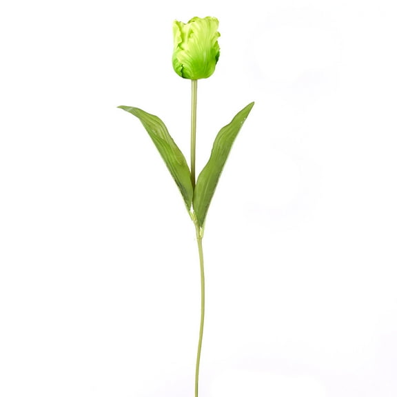 Package of 6 Realistic Spring Faux Light Green Parrot Tulip Stems