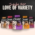 thumbnail image 6 of Cesar Filets in Gravy Beef and Chicken Flavors Wet Dog Food, 1.76 oz Mini-Pouches, 20 Ct, 6 of 10