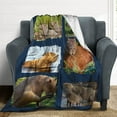 thumbnail image 4 of Capybara Blanket Gifts, 50"x40" Cute Capybara Animal Throw Blankets, Flannel Fuzzy Soft Plush Blanket for Teens Girls Boys, Gifts for Capybara Lovers, Throw Blanket for Sofa Bed Couch, 4 of 6