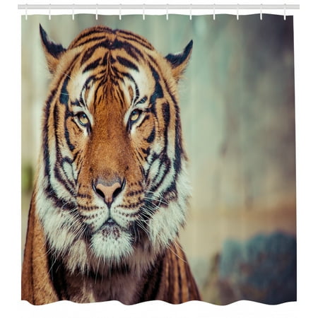 Tiger Shower Curtain Large Feline In A Calm State With Blurred