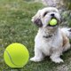 thumbnail image 4 of Pelota de tenis gigante de gran tamaño de 6,5 cm, pelota de tenis para perros, juguete masticable para mascotas grandes para deportes al aire libre/interior, pelota para perros, regalo con a, 4 of 5