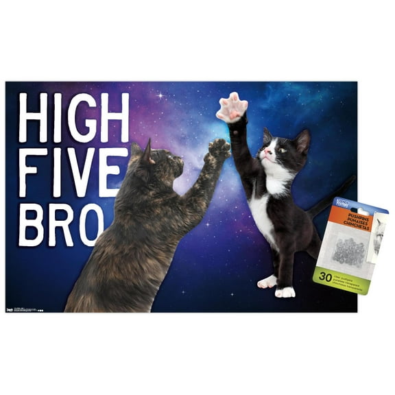 Keith Kimberlin - Kittens - High Five Bro in Space Wall Poster with Push Pins, 14.725" x 22.375"