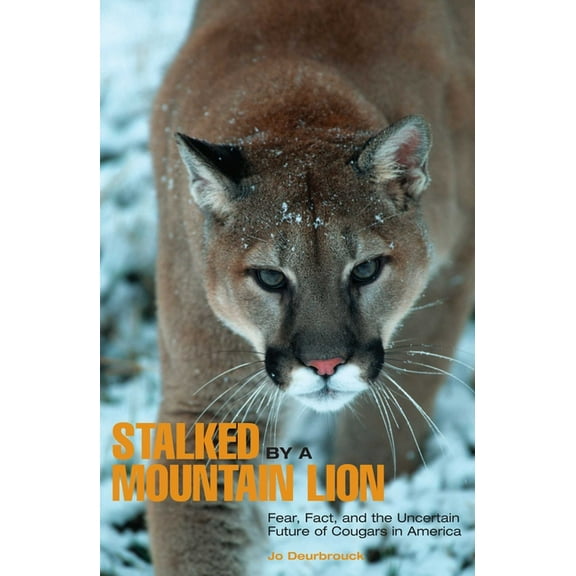 Stalked by a Mountain Lion: Fear, Fact, And The Uncertain Future Of Cougars In America, (Paperback)