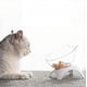 thumbnail image 5 of Cuenco de comida para gatos elevado de 15° con soporte, cuenco de plástico transparente para gatos de doble altura, juego libre de estrés para gatos y perros pequeños, cuenco para gatos antivómitos, cuenco doble con cara de gato bonito Ormromra WMZL-513-2, 5 of 6