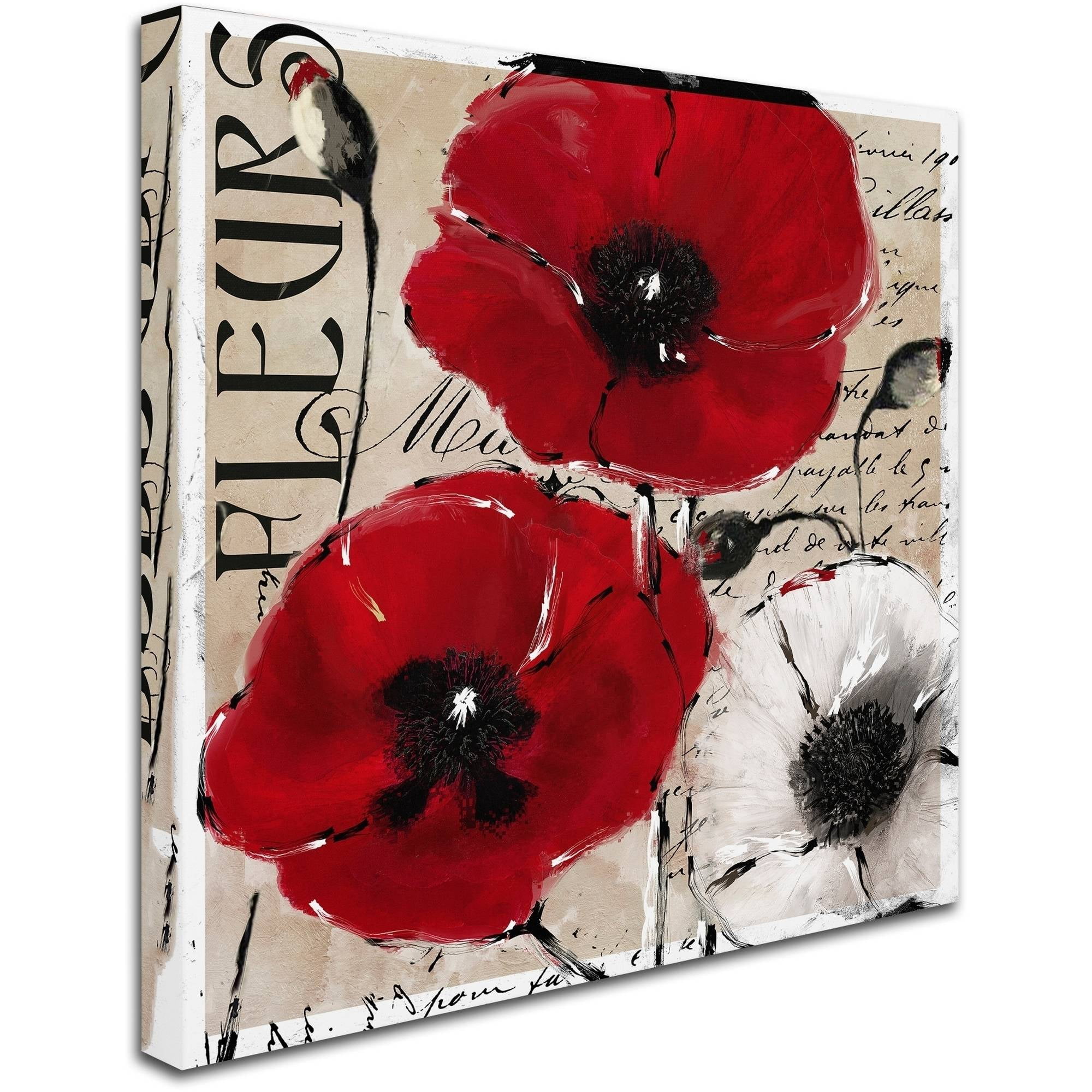 Trademark Fine Art "Rouge One" Canvas Art by Color Bakery