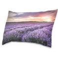 thumbnail image 2 of Blooming Lavender Field Velvet Oblong Lumbar Plush Throw Pillow Cover/Shams Cushion Case - 16x24in - Decorative Invisible Zipper Design for Couch Sofa Pillowcase Only, 2 of 5