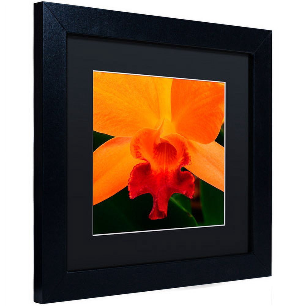 Trademark Fine Art "Brilliant Orchid on Fire" Canvas Art by Kurt Shaffer Black Matte, Black Frame