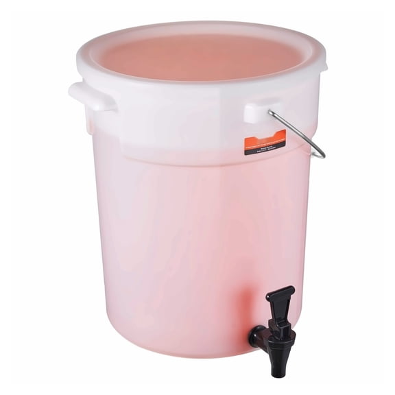 5 Gallon Beverage Dispenser with Spigot, Plastic Juice Dispenser for Parties