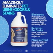Whip-Pet Odor Eliminator and Stain Remover, Enzymatic Cleaner for Dog Urine and Carpet Odor Removal, Eco-Friendly 128 fl oz.