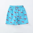thumbnail image 7 of XADYUY Boys Swim Trunks 14-16 Quick Dry Beach Shorts Kids Cute Shark Print Boys Bathing Suits Size 10-12 Summer Casual Athletic Teen Boys Swim Trunks,5-6 Years Sky Blue, 7 of 7