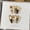 Latte Sweetheart [Long Oval], variant on [Latte Sweetheart] Y Autumn Explosion Light Coffee Cat's Eye Plaid French Star Bow Wear Armor