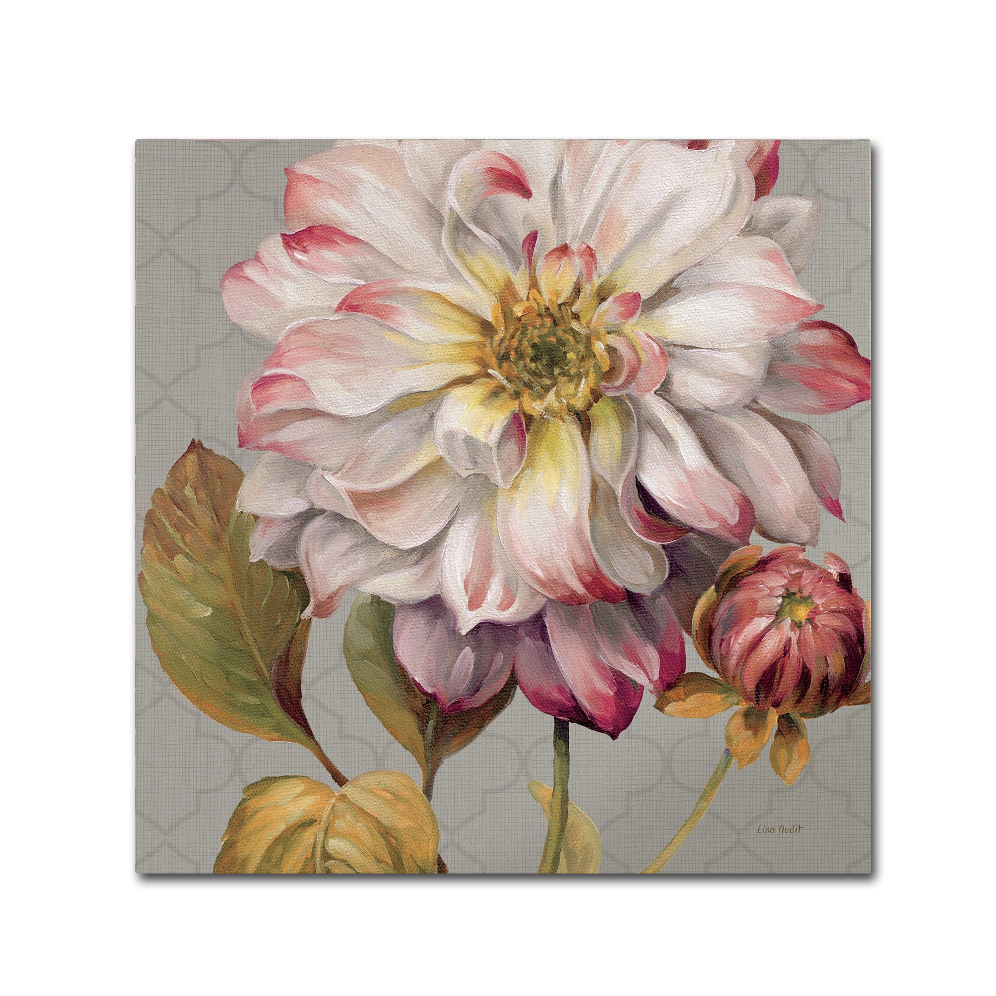Trademark Fine Art "Classically beautiful II" Canvas Art by Lisa Audit