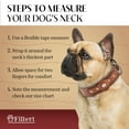 thumbnail image 5 of Filbert Leather Dog Collar with Airtag Holder, Upgraded Secure Airtag Collar Luxury, for Medium Dogs, Leather, Waterproof, Premium, Adjustable for All Breeds, Heavy Metal Buckle, Ultra-Durable, 5 of 9