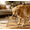 Gold, variant on Elevated Pet Bowl Stand,Raised Iron Frame for Cats Small Dogs, Anti-Cervical Spondylosis Feeder, 4" Height, Tipping Resistant (Bowl Not Included)