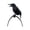B, variant on BotaniNest Halloween Decorations Halloween Realistic Crow Big Black Feather Standing Crow Suitable For Halloween Decoration Birds Suitable For Indoor And Outdoor Courtyard Tree Garden Terrace Hau