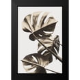 thumbnail image 1 of Artographie Studio 17x24 Black Modern Framed Museum Art Print Titled - Monstera Gold 09, 1 of 4