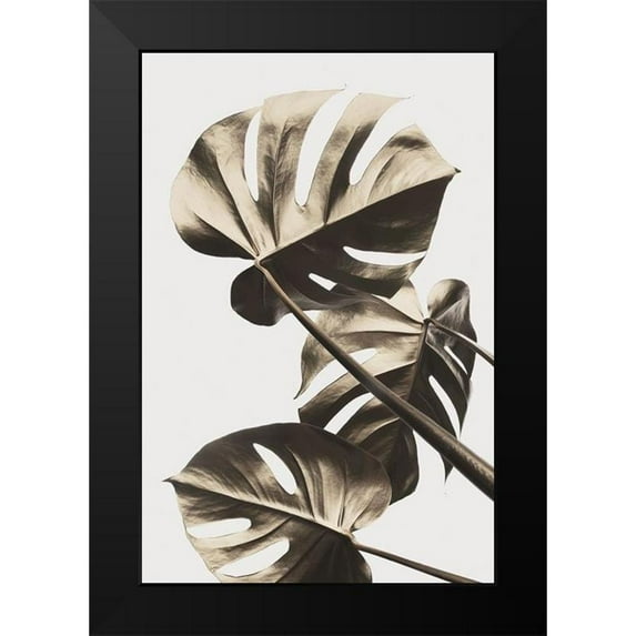 Artographie Studio 17x24 Black Modern Framed Museum Art Print Titled - Monstera Gold 09