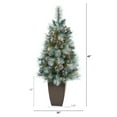 thumbnail image 2 of Nearly Natural 3.5' Frosted Tip Pine Artificial Christmas Tree in Planter, Prelit with 50 Clear Lights, 2 of 6