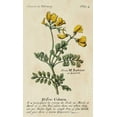 thumbnail image 2 of Unknown 16x24 Black Ornate Wood Framed with Double Matting Museum Art Print Titled - Gardeners Guide I, 2 of 4