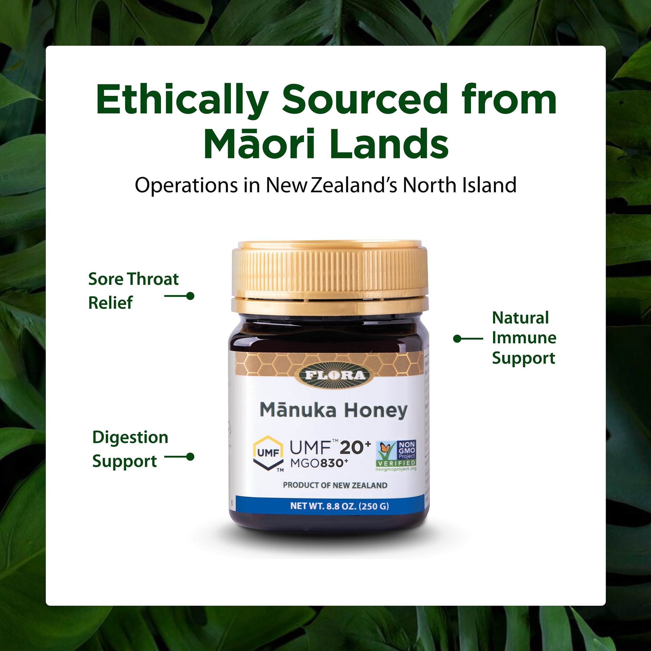 Flora - Manuka Honey, MGO 800+, UMF 20+, Sustainable, Traceable, 8.8 Oz