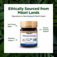 thumbnail image 4 of Flora - Manuka Honey, MGO 800+, UMF 20+, Sustainable, Traceable, 8.8 Oz, 4 of 8