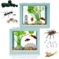 thumbnail image 1 of 2 juegos de tanques de peces beta pequeños azules, acuario de plantas de grava, piedra de alimentación, tanque de peces tortuga reptil, mesa de comedor, tanque de peces de bloques de constru, 1 of 5