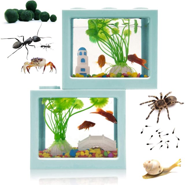 2 juegos de tanques de peces beta pequeños azules, acuario de plantas de grava, piedra de alimentación, tanque de peces tortuga reptil, mesa de comedor, tanque de peces de bloques de constru