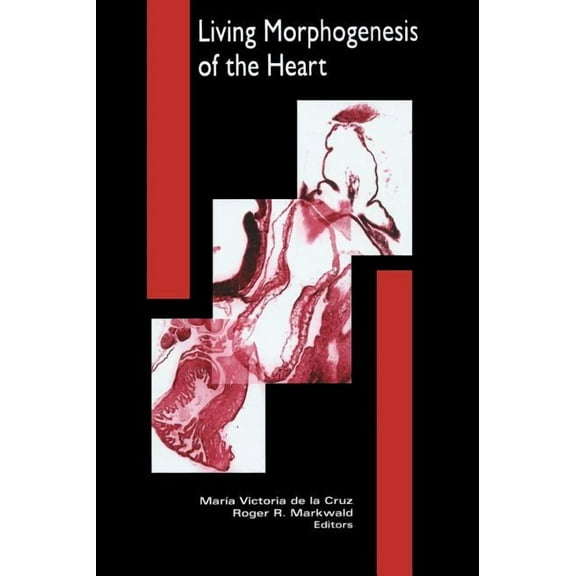 Cardiovascular Molecular Morphogenesis Living Morphogenesis of the Heart, (Hardcover)
