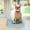 B, variant on EGNMCR Toilet Mat Leakproof Home Dog Urine Basin Dog Toilet Grid basin