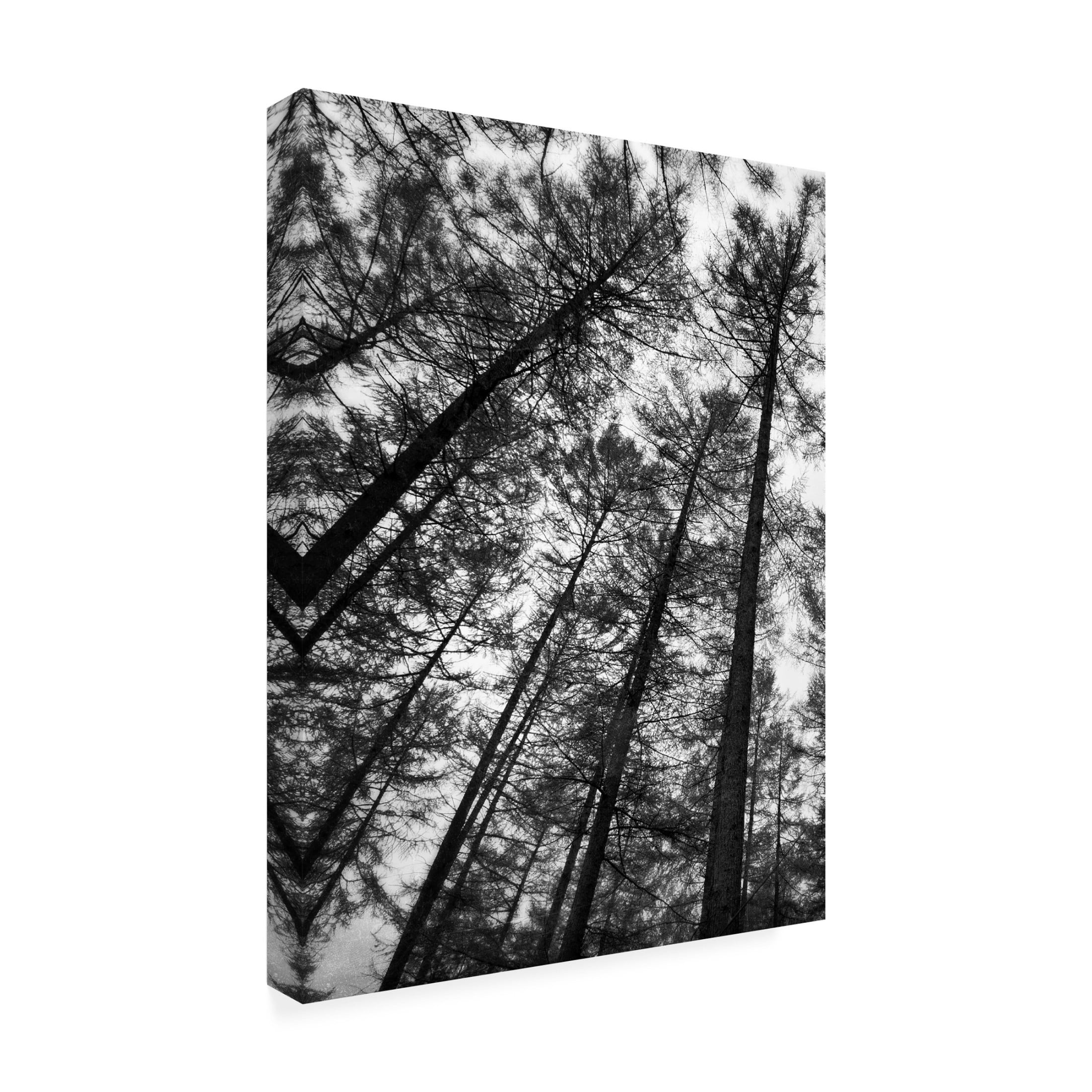 Canvas Wall Art - Tom Quartermaine 'Set of 2 Dark Tree Forest Wall Art Prints 1' Wall Art for Living Room, Bedroom, or Office Décor by Trademark Fine Art - 35 x 47 Inches