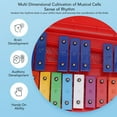 thumbnail image 3 of Xylophone Professionnel, Large Application 2 Octaves Multifonctions en Aluminium Xylophone Durable pour la Maison, 3 of 8
